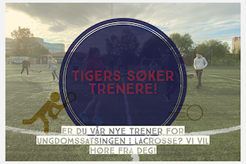 Tigers søker trenere